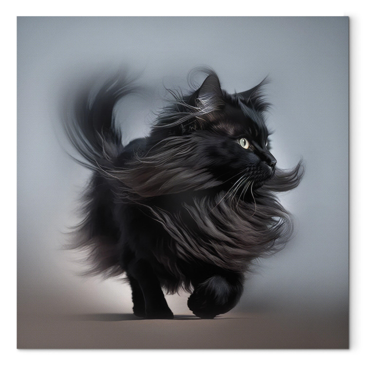 Canvas Print AI Maine Coon Cat - Walking Animal With Long Black Hair - Square 150202