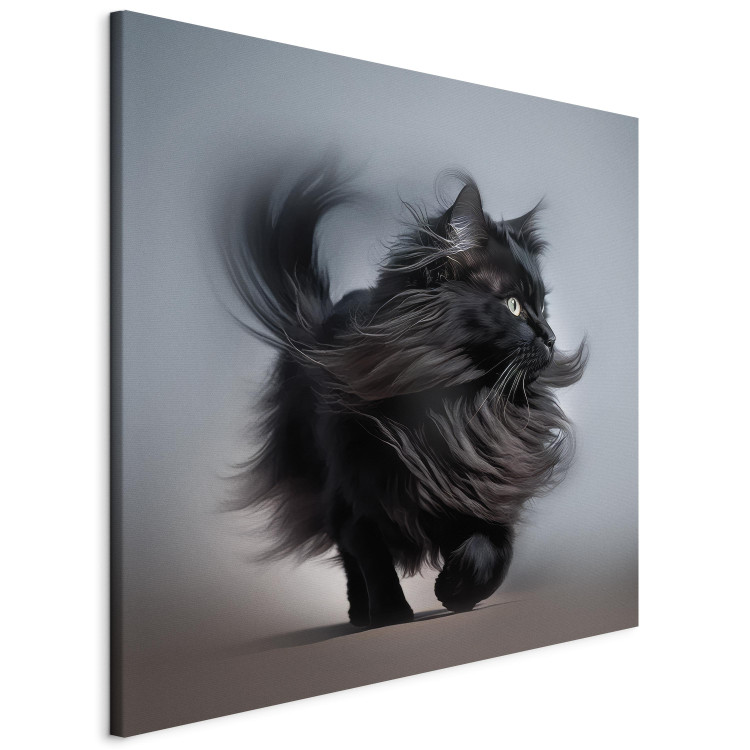 Canvas Print AI Maine Coon Cat - Walking Animal With Long Black Hair - Square 150202 additionalImage 2