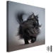 Canvas Print AI Maine Coon Cat - Walking Animal With Long Black Hair - Square 150202 additionalThumb 8
