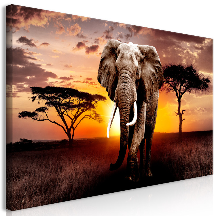 Large canvas print Sunset on the Savanna II [Large Format] 150802 additionalImage 2