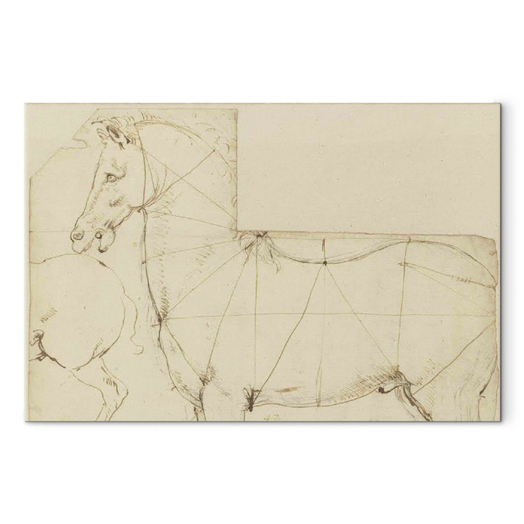 Art Reproduction Sketch of Horse Proportions 152002