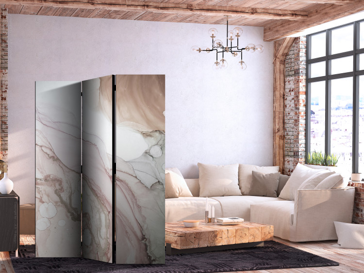 Room Divider Abstract - Spilled Patches of Color in Shades of Soft Pink [Room Dividers] 159802 additionalImage 4