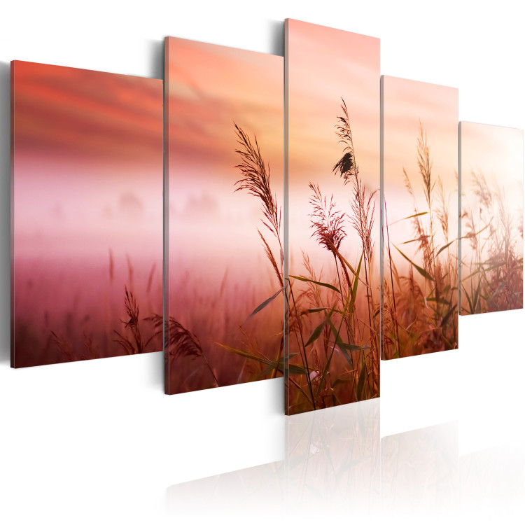 Canvas Print Meadow welcomes a brand new day 58602 additionalImage 2