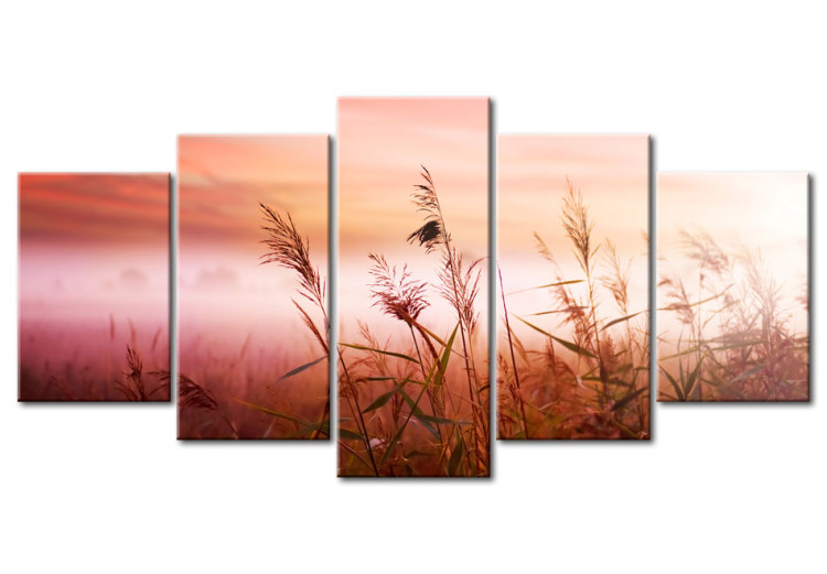Canvas Print Meadow welcomes a brand new day 58602