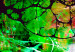Canvas Green Fantasy 90202 additionalThumb 5