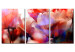 Canvas Print Tulips of Love (3-piece) - Close-Up of Colorful Spring Flowers 92702