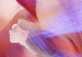 Canvas Print Tulips of Love (3-piece) - Close-Up of Colorful Spring Flowers 92702 additionalThumb 5
