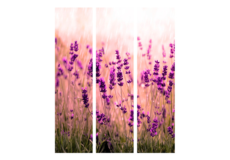 Folding Screen Lavender in the Rain - romantic lavender flowers in a meadow 95602 additionalImage 3