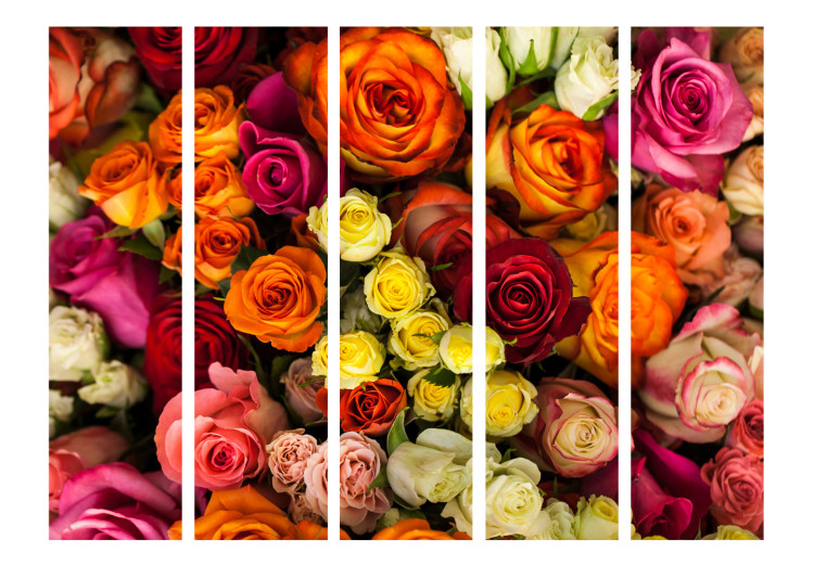 Room Divider Bouquet of Roses II - romantic landscape of colorful flowers with vivid hues 97002 additionalImage 3