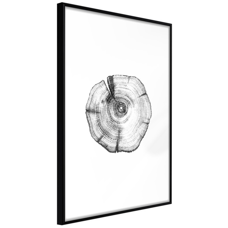 Wall Poster Tree Bark - black and white simple composition with a plant motif 116612 additionalImage 13