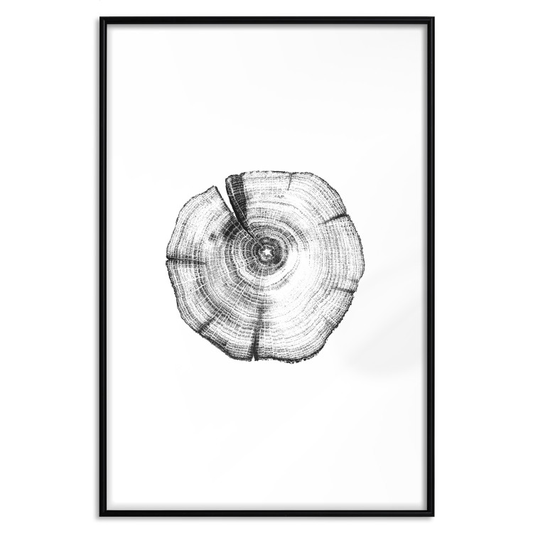 Wall Poster Tree Bark - black and white simple composition with a plant motif 116612 additionalImage 17