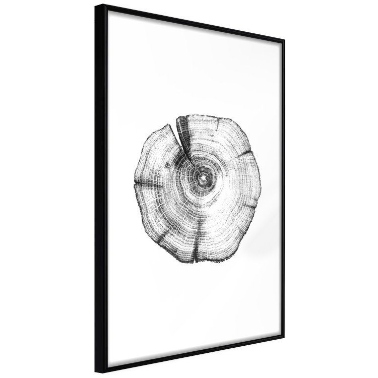 Wall Poster Tree Bark - black and white simple composition with a plant motif 116612 additionalImage 12