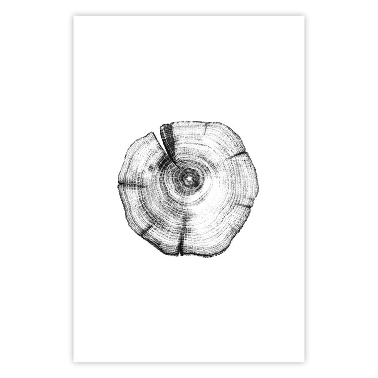 Wall Poster Tree Bark - black and white simple composition with a plant motif 116612 additionalImage 18