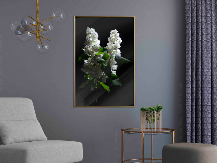 Poster Lilacs at Night - composition of spring white flowers amidst deep black 121912 additionalImage 14