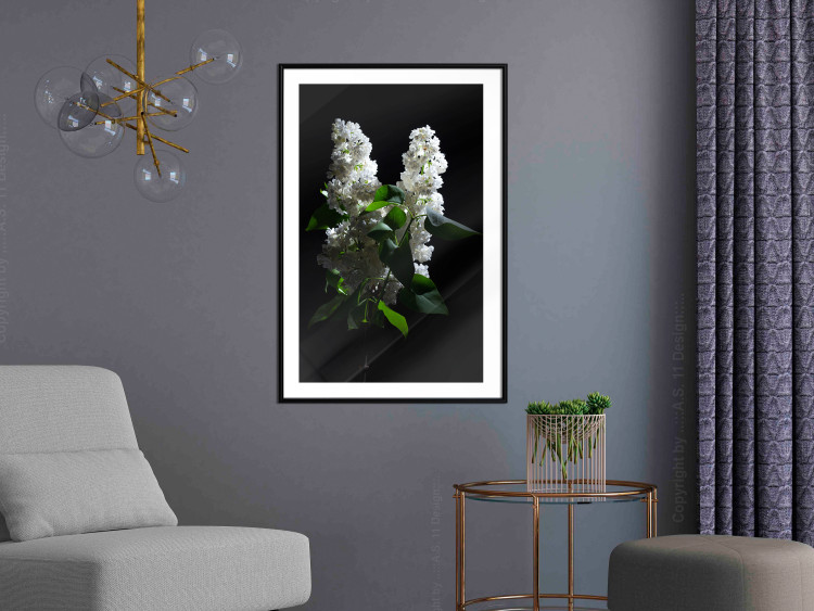 Poster Lilacs at Night - composition of spring white flowers amidst deep black 121912 additionalImage 13