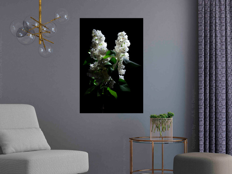 Poster Lilacs at Night - composition of spring white flowers amidst deep black 121912 additionalImage 23