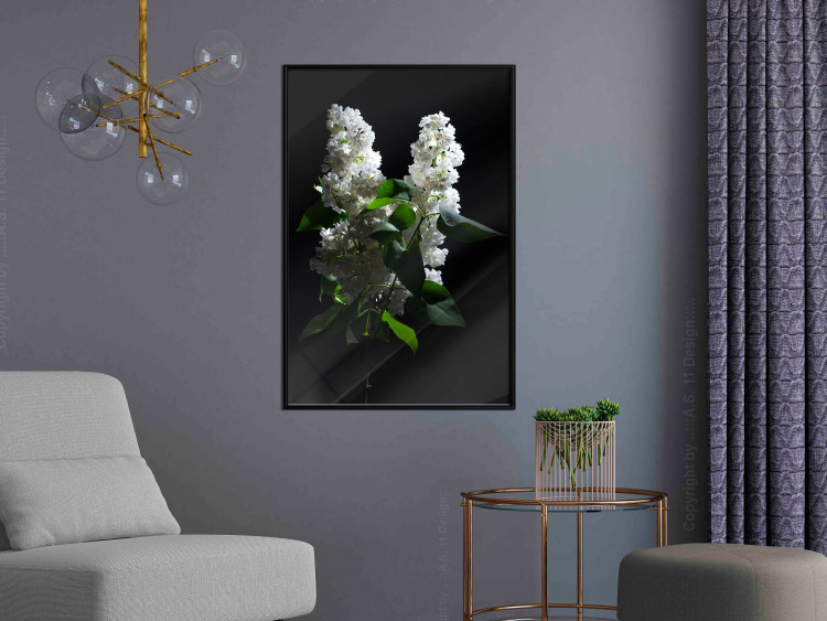 Poster Lilacs at Night - composition of spring white flowers amidst deep black 121912 additionalImage 4