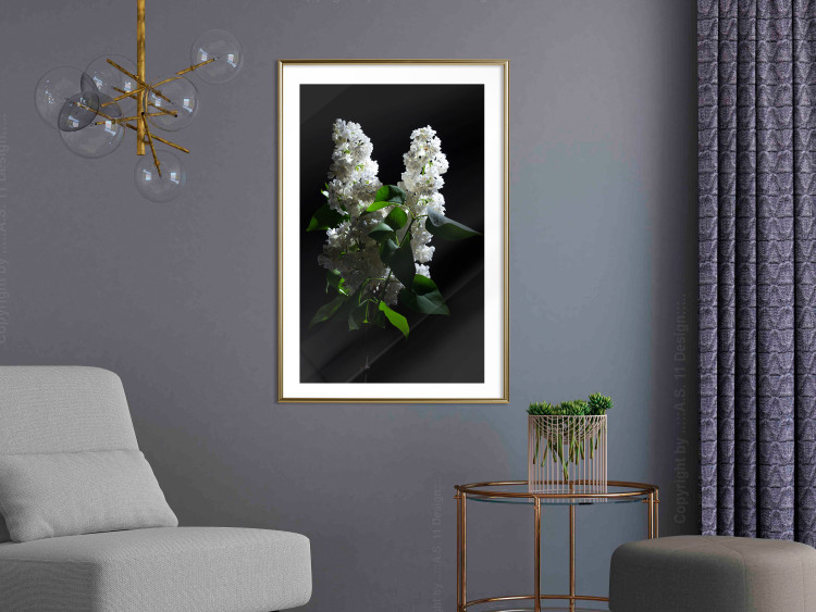 Poster Lilacs at Night - composition of spring white flowers amidst deep black 121912 additionalImage 15