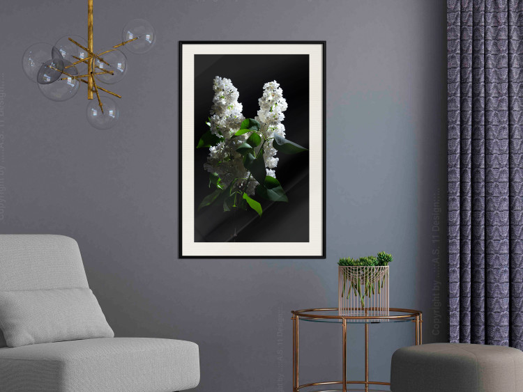 Poster Lilacs at Night - composition of spring white flowers amidst deep black 121912 additionalImage 22