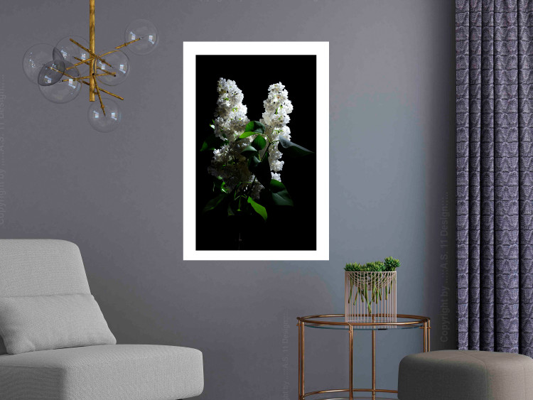 Poster Lilacs at Night - composition of spring white flowers amidst deep black 121912 additionalImage 5