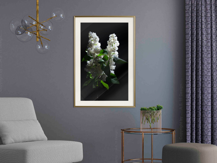 Poster Lilacs at Night - composition of spring white flowers amidst deep black 121912 additionalImage 21