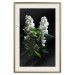 Poster Lilacs at Night - composition of spring white flowers amidst deep black 121912 additionalThumb 19