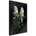 Poster Lilacs at Night - composition of spring white flowers amidst deep black 121912 additionalThumb 11