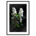 Poster Lilacs at Night - composition of spring white flowers amidst deep black 121912 additionalThumb 17