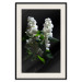 Poster Lilacs at Night - composition of spring white flowers amidst deep black 121912 additionalThumb 18