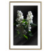 Poster Lilacs at Night - composition of spring white flowers amidst deep black 121912 additionalThumb 16