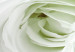 Canvas Print White rose buds - a composition with flowers and green accents 123212 additionalThumb 4