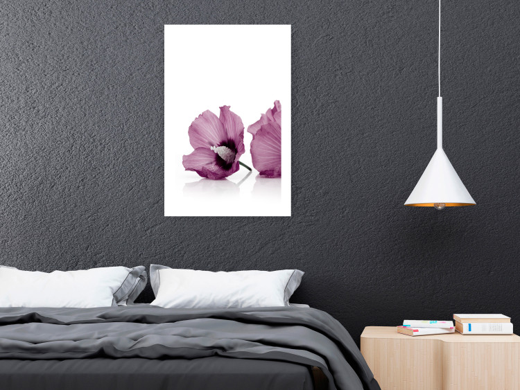 Poster Close Together - plant with pink hibiscus flower on white background 123512 additionalImage 4