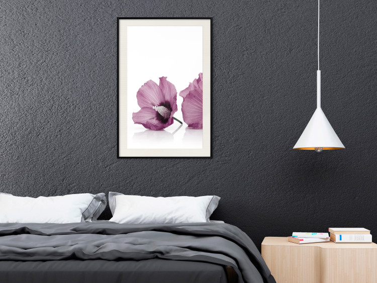 Poster Close Together - plant with pink hibiscus flower on white background 123512 additionalImage 22