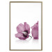Poster Close Together - plant with pink hibiscus flower on white background 123512 additionalThumb 16