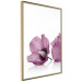 Poster Close Together - plant with pink hibiscus flower on white background 123512 additionalThumb 14