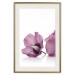 Poster Close Together - plant with pink hibiscus flower on white background 123512 additionalThumb 19