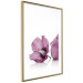 Poster Close Together - plant with pink hibiscus flower on white background 123512 additionalThumb 8