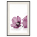 Poster Close Together - plant with pink hibiscus flower on white background 123512 additionalThumb 18