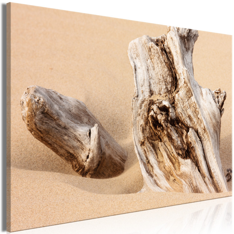 Canvas Art Print Uncovered Past (1-piece) Wide - wood bark landscape on the beach 129812 additionalImage 2