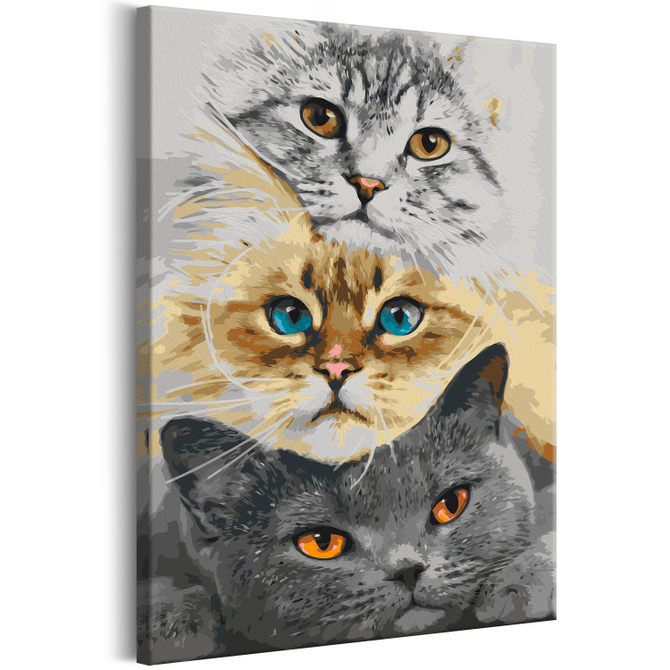 Paint by Number Kit Cat's Trio 132312 additionalImage 5