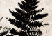 Poster Fern Trace - dark plant composition on a beige textured background 134512 additionalThumb 10