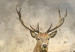 Large canvas print Deer in Field [Large Format] 137612 additionalThumb 5