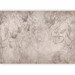 Wall Mural Beige twigs - abstract composition with motif inspired by nature 138812 additionalThumb 1