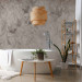 Wall Mural Beige twigs - abstract composition with motif inspired by nature 138812 additionalThumb 8