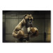 Canvas AI Boxer Dog - Fantasy Portrait of a Strong Animal in the Ring - Horizontal 150112