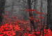 Large canvas print Crimson Forest II [Large Format] 150712 additionalThumb 4