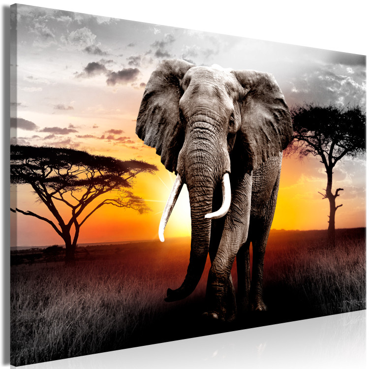 Large canvas print Elephant on the Savannah [Large Format] 150812 additionalImage 2
