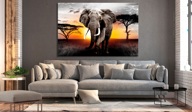 Large canvas print Elephant on the Savannah [Large Format] 150812 additionalImage 5