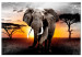 Large canvas print Elephant on the Savannah [Large Format] 150812