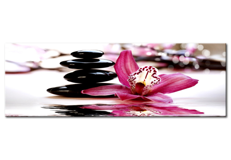 Canvas Art Print Orchid - oasis of calm 50212
